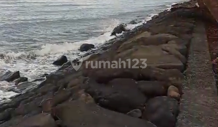 Dijual Tanah 86 Are Los Pantai Kubutambahan Buleleng Dijual Tanah 86 Are Los Pantai Kubutambahan Buleleng