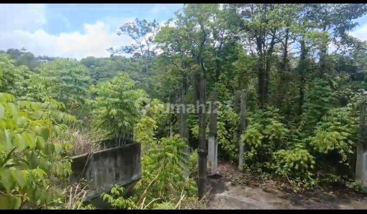 Dijual Tanah 234 Are Kedewatan Ubud Gianyar Bali 2