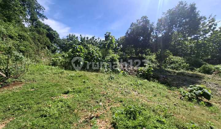 For rent 48.7 are of land with ocean view, Balangan, Jimbaran