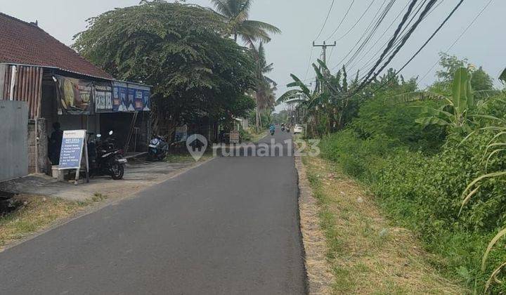 Dijual Tanah 66 Are Pinggir Jalan Kedungu 2