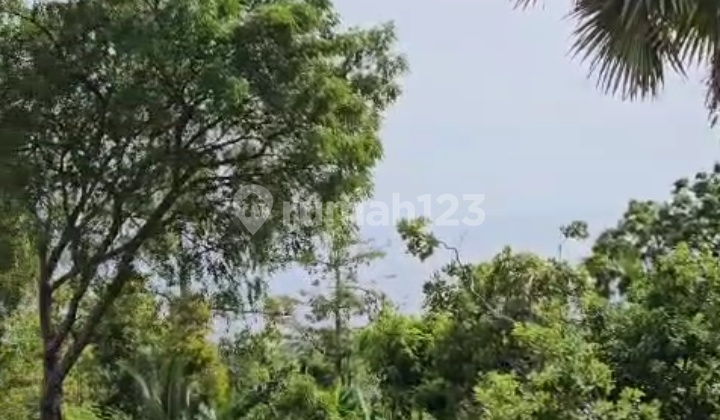 Dijual Tanah 2,56 Hektar Bukti Kubutambahan Buleleng