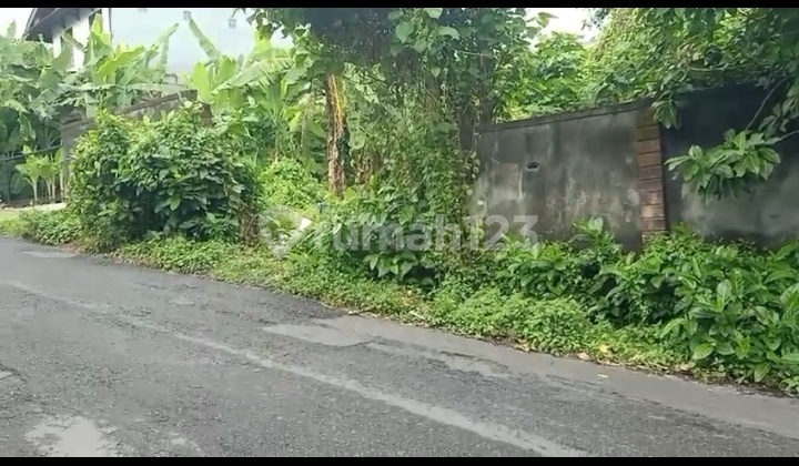 Dijual Tanah 7,88 Are Gunung Catur Iv Denpasar Dijual Tanah 7,88 Are Gunung Catur Iv Denpasar