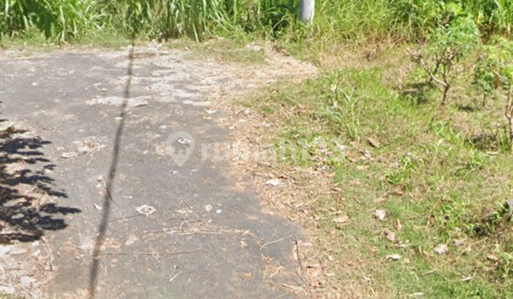 Dijual Tanah 6 Are Saba Gianyar - Bali Dijual Tanah 6 Are Saba Gianyar - Bali