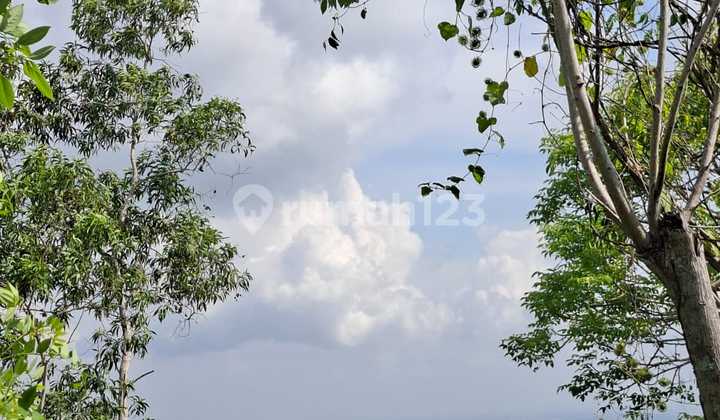 Dijual Tanah 20 Are View Jalan Ocean Blue Benoa Kuta Selatan