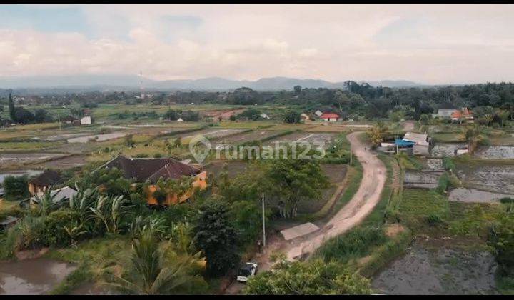 Dijual Tanah 5 Hektar Bona Blahbatuh Gianyar 2