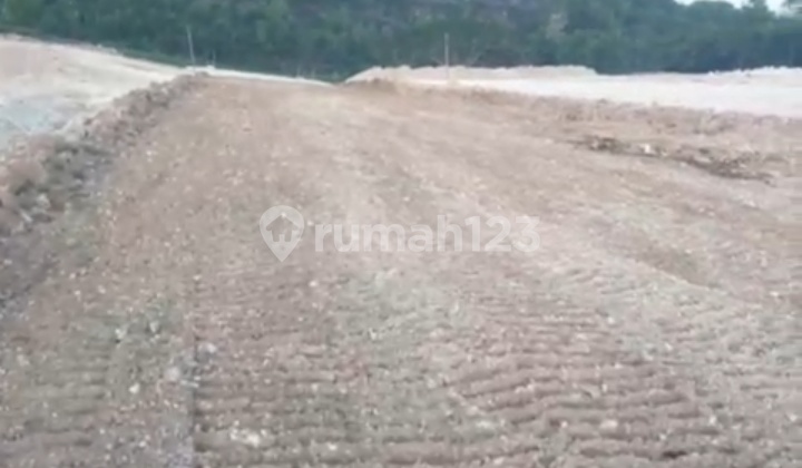 Dijual Tanah 317,8 Are Jalan Belimbing Sari Pecatu Dijual Tanah 317,8 Are Jalan Belimbing Sari Pecatu