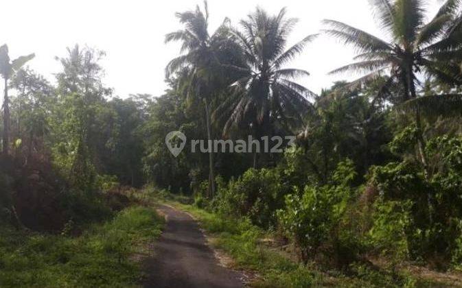 Dijual Tanah 1,12 Hektar Jalan Pantai Saba Gianyar 1