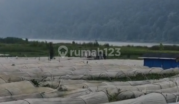 Dijual Tanah 2 Hektar Pancasari Bedugul