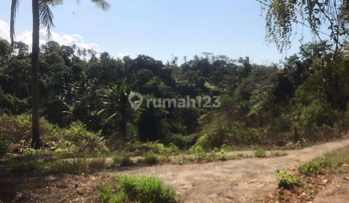 Dijual Tanah 72,8 Are Los Sungai Dan View Hutan Sukawati 1