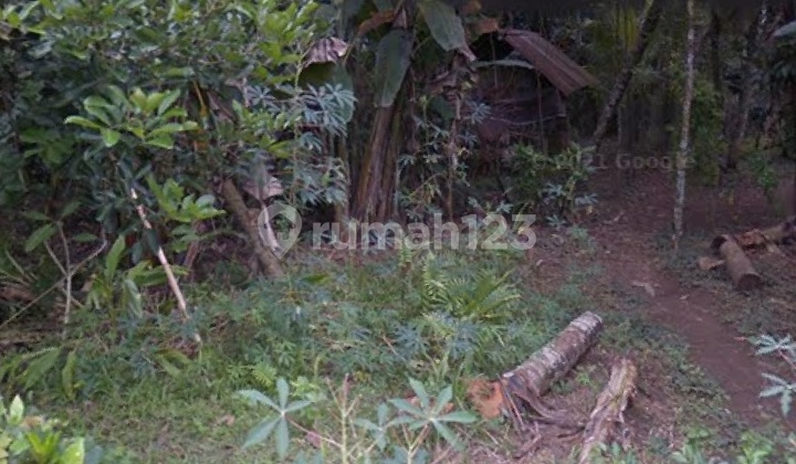 For Rent: 35.49 Are Land by the Yeh Ho River, Timpag, Tabanan