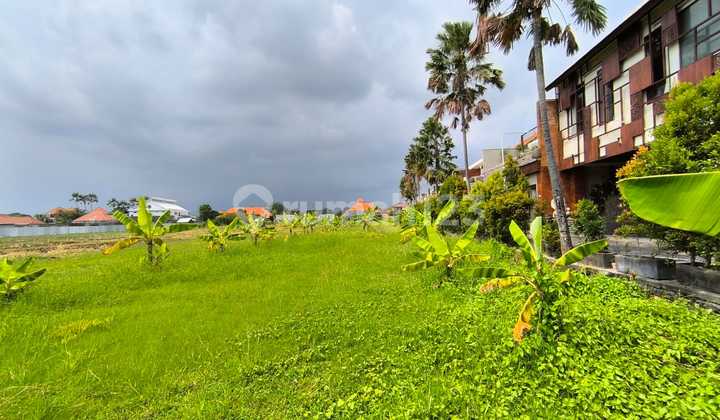 Dijual Tanah 29,6 Are Batubelig