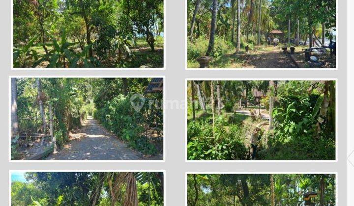 Dijual Tanah 3,34 Hektar Pinggir Pantai Tejakula Buleleng 2