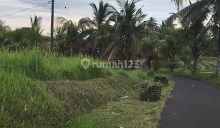 Dijual Tanah 76,65 Are Dekat Pantai Soka  2