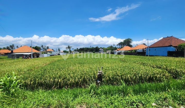 Land for Rent 13 Ares Near Cemagi Beach