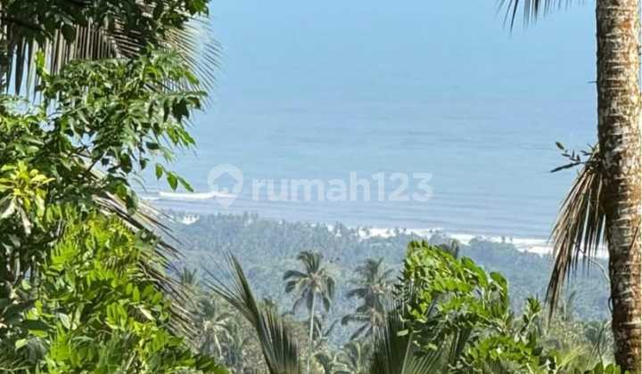 For Sale Land 40.2 Are Lumbung Kauh West Selemadeg Tabanan-Bali
