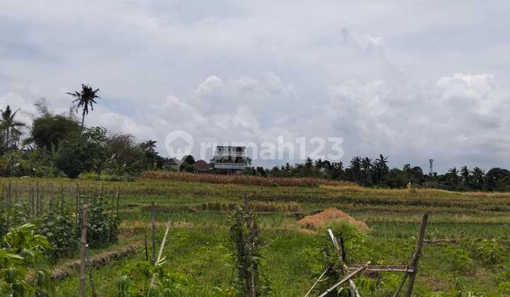 Dijual Tanah 99,65 Are Pinggir Sungai Yeh Gangga Sudimara Tabanan