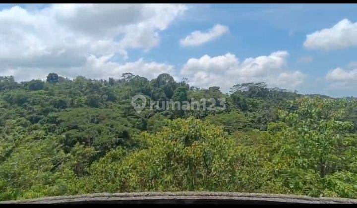 Dijual Tanah 234 Are Kedewatan Ubud Gianyar Bali 1