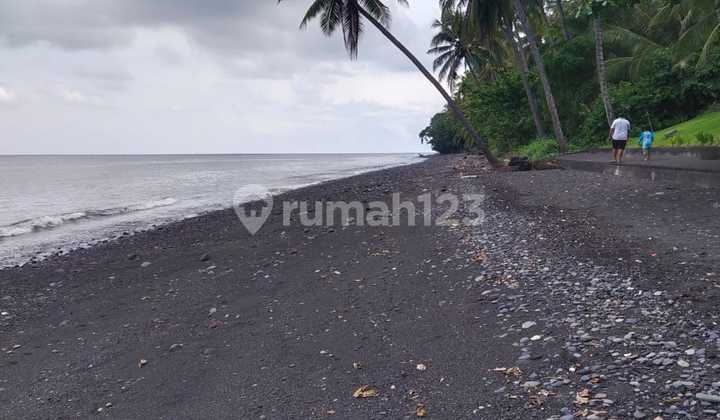 For Sale 198 Are Land by the Beach and Main Road Tejakula Buleleng