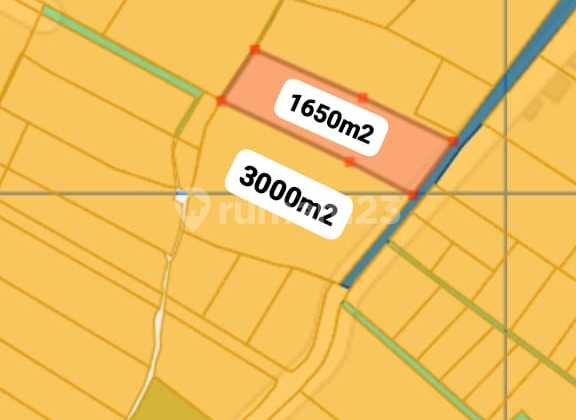 For Sale 46.5 Are Land on Nyanyi Beach Road, Beraban, Tabanan