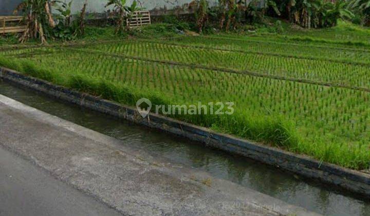 Dijual Tanah 1,06 Hektar Jalan Pantai Nyanyi 1