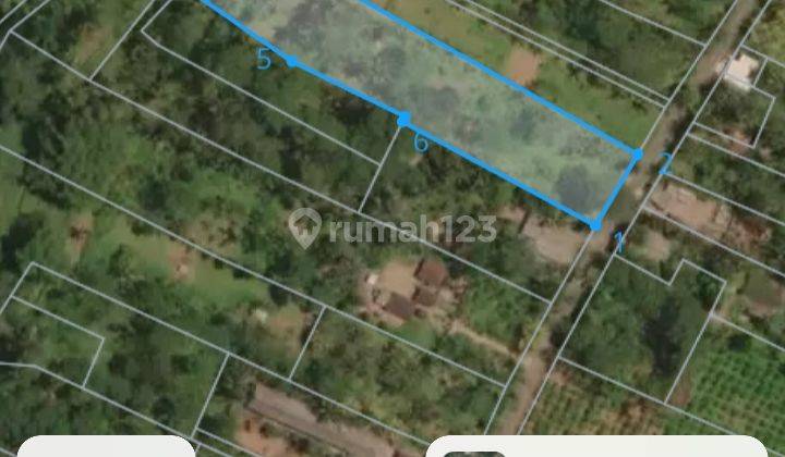 Dijual Tanah 54 Are View Sawah,jungle Los Sungai Tegallalang 2