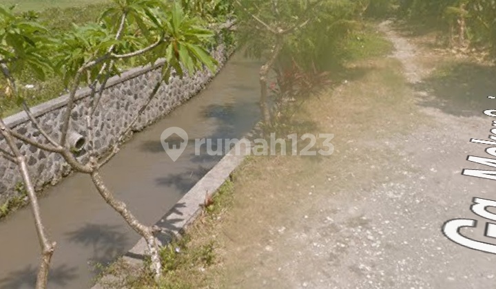 Dijual Tanah 45,5 Are Dekat Lp Kerobokan