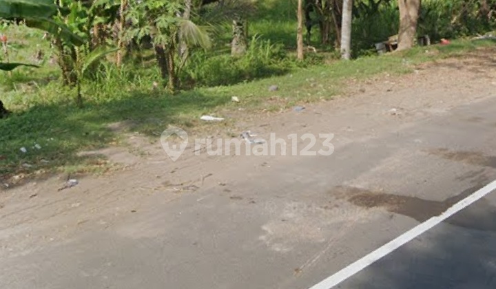 Land for Sale 45 Ares Roadside By Pas Ida Bagus Mantra Land for Sale 45 Ares Roadside By Pas Ida Bagus Mantra