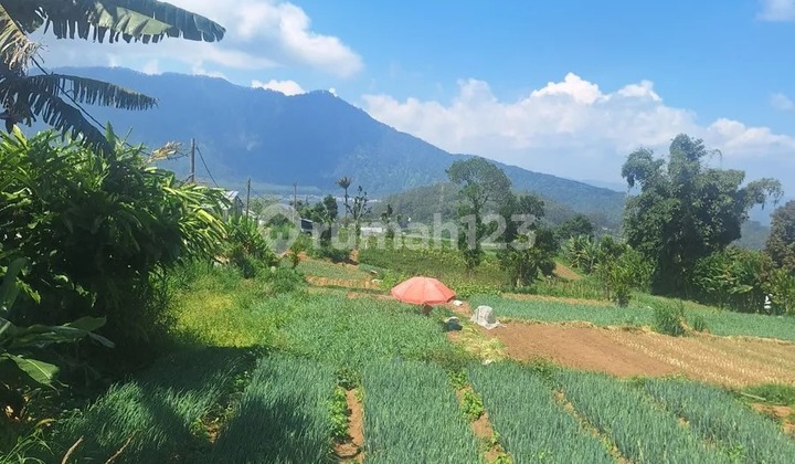 For Sale: Land Area 14.6 Are, Candi Kuning Bedugul For Sale: Land Area 14.6 Are, Candi Kuning Bedugul