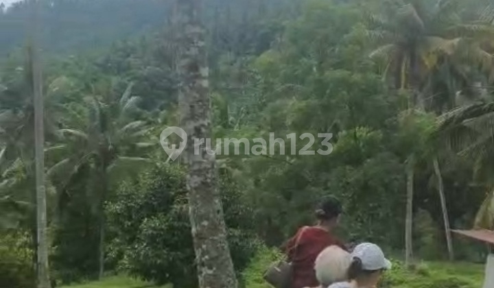 Dijual Tanah 1,6 Hektar Isi Bangunan Rumah 2 Lantai View Laut dan Gunung Lumbung Kauh Tabanan