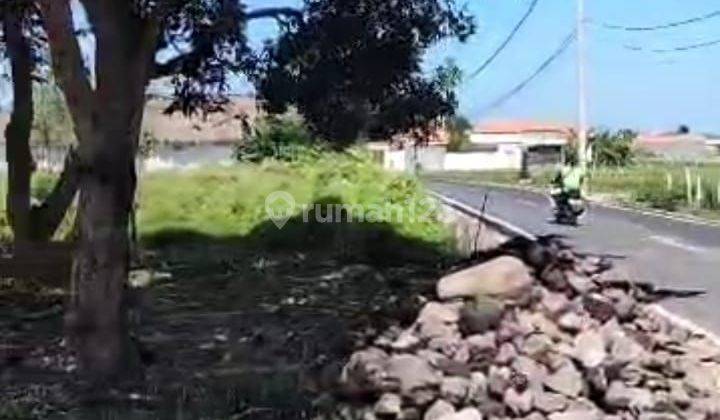 Dijual Tanah 11,85 Are Jalan Utama Subak Canggu  2