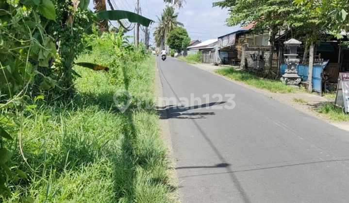 Dijual Tanah 66 Are Kedunggu Tabanan Dijual Tanah 66 Are Kedunggu Tabanan