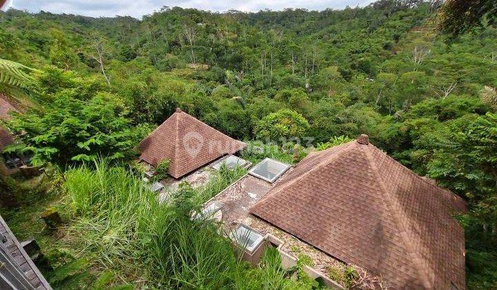 Dijual Tanah 79,18 Are Isi Bangunan Villa Mangkrak Tegallalang 2