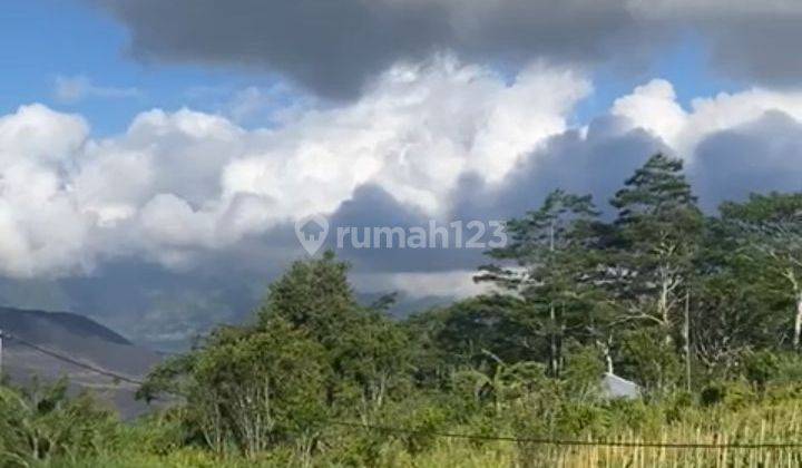 For Sale 15 Are Land View of Kintamani Mountain and Lake 2