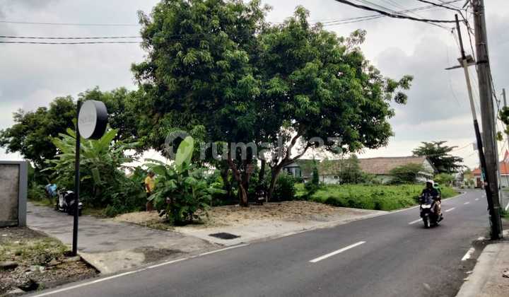 Dijual Tanah 11,9 Are Subak Canggu Dijual Tanah 11,9 Are Subak Canggu