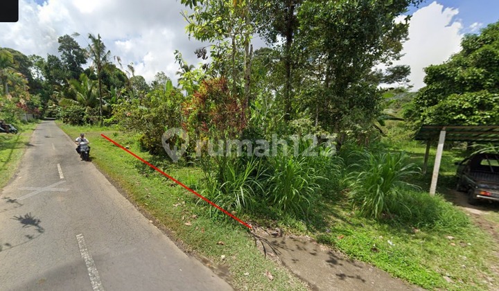 Dijual Tanah 12 Are Jalan Payangan Bukian Ubud