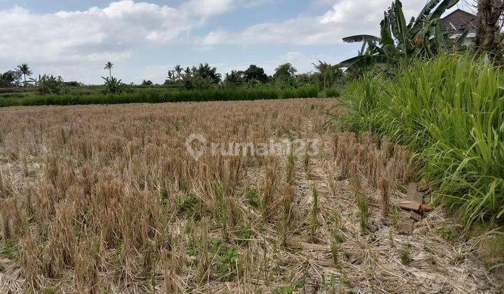 Land for sale 201 Are Keramas Near Jln. By Pass Ida Bagus Mantra 1