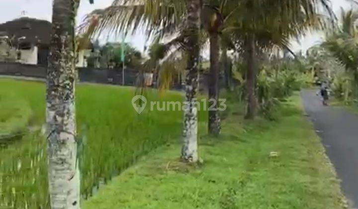 Dijual Tanah 76,65 Are Dekat Pantai Soka  1