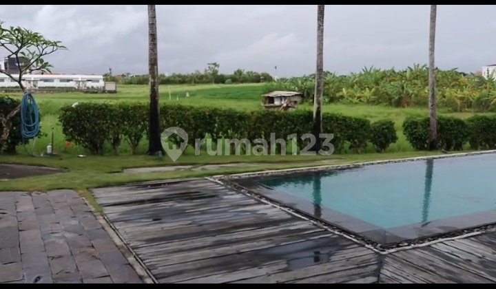 Villa for Sale in Berawa Canggu Villa for Sale in Berawa Canggu