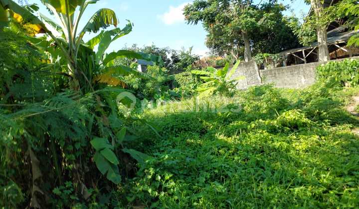 Dijual Tanah 3 Are Mas Ubud