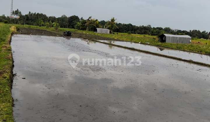 Dijual Tanah 18,8 Are Pangkung Tibah Kediri Tabanan