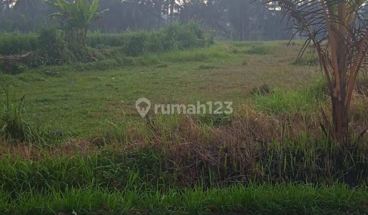 Land for sale 9,14 Are Saba Gianyar 1