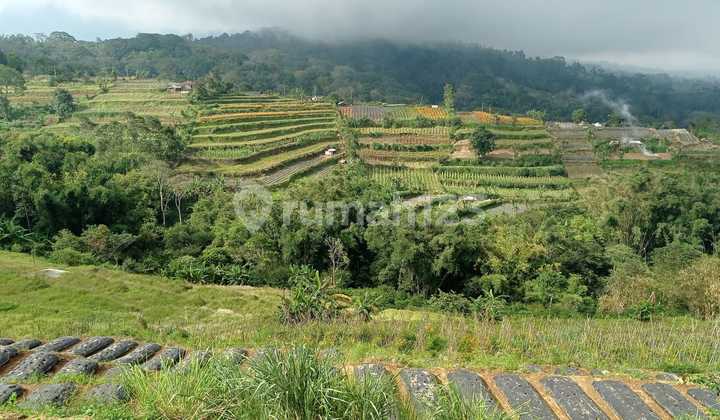 Dijual Tanah Di Jalan Raya Bedugul Baturiti 2