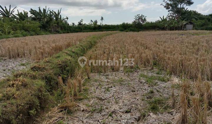 Land for sale 201 Are Keramas Near Jln. By Pass Ida Bagus Mantra 2