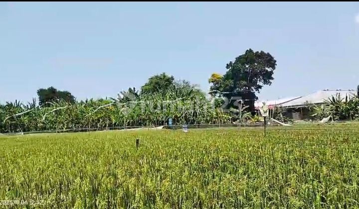 Dijual Tanah 2,9 Are Lc Gunung Soputan Denpasar