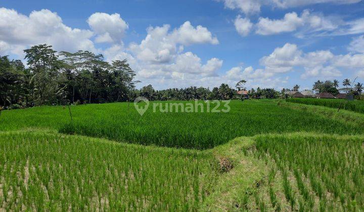 Dijual Tanah Luas 20 Are Keliki Ubud 1