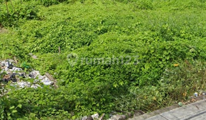 For Rent: 50 Are Land Near Canggu Fishermen's Beach For Rent: 50 Are Land Near Canggu Fishermen's Beach