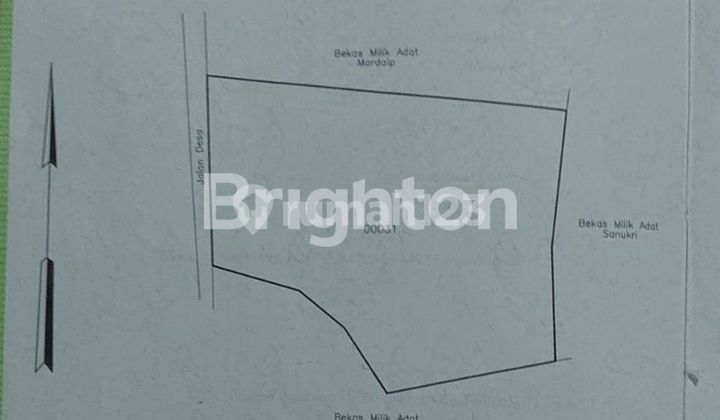 Tanah darat, rata dan siap bangun di Citeras - Rangkas Bitung