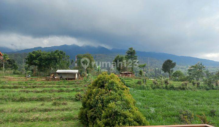 Viaw gunung salak cluster 2