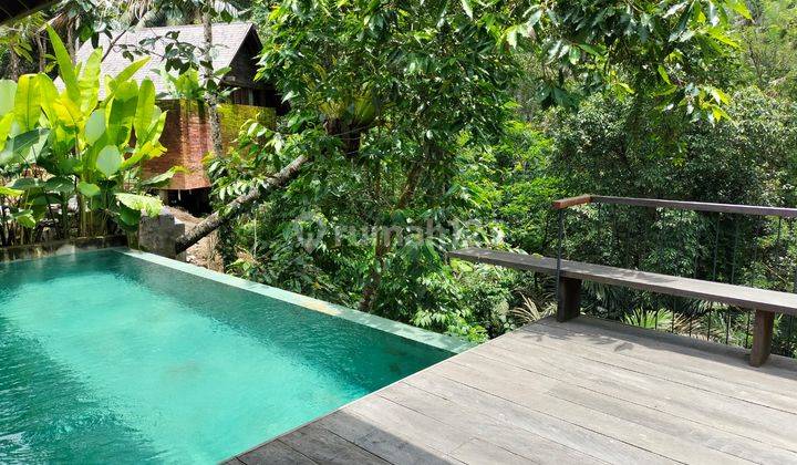 Hideaway Villas Ubud Baru SHM Furnished View Jungle 2