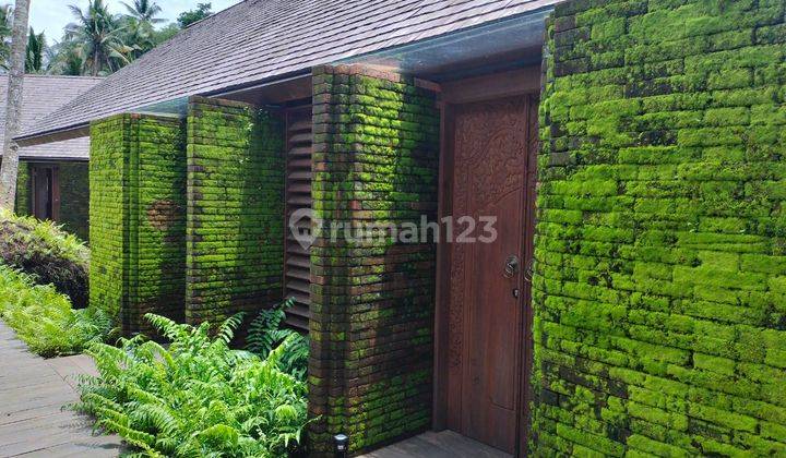 Hideaway Villas Ubud Baru SHM Furnished View Jungle 7